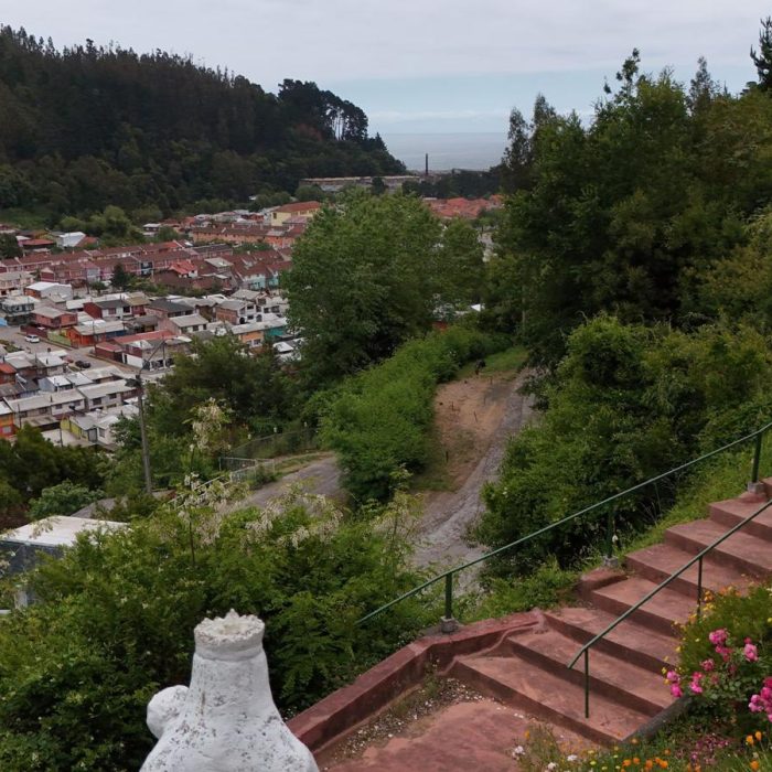 WhatsApp Image 2023-12-26 at 11.05.16 (1)